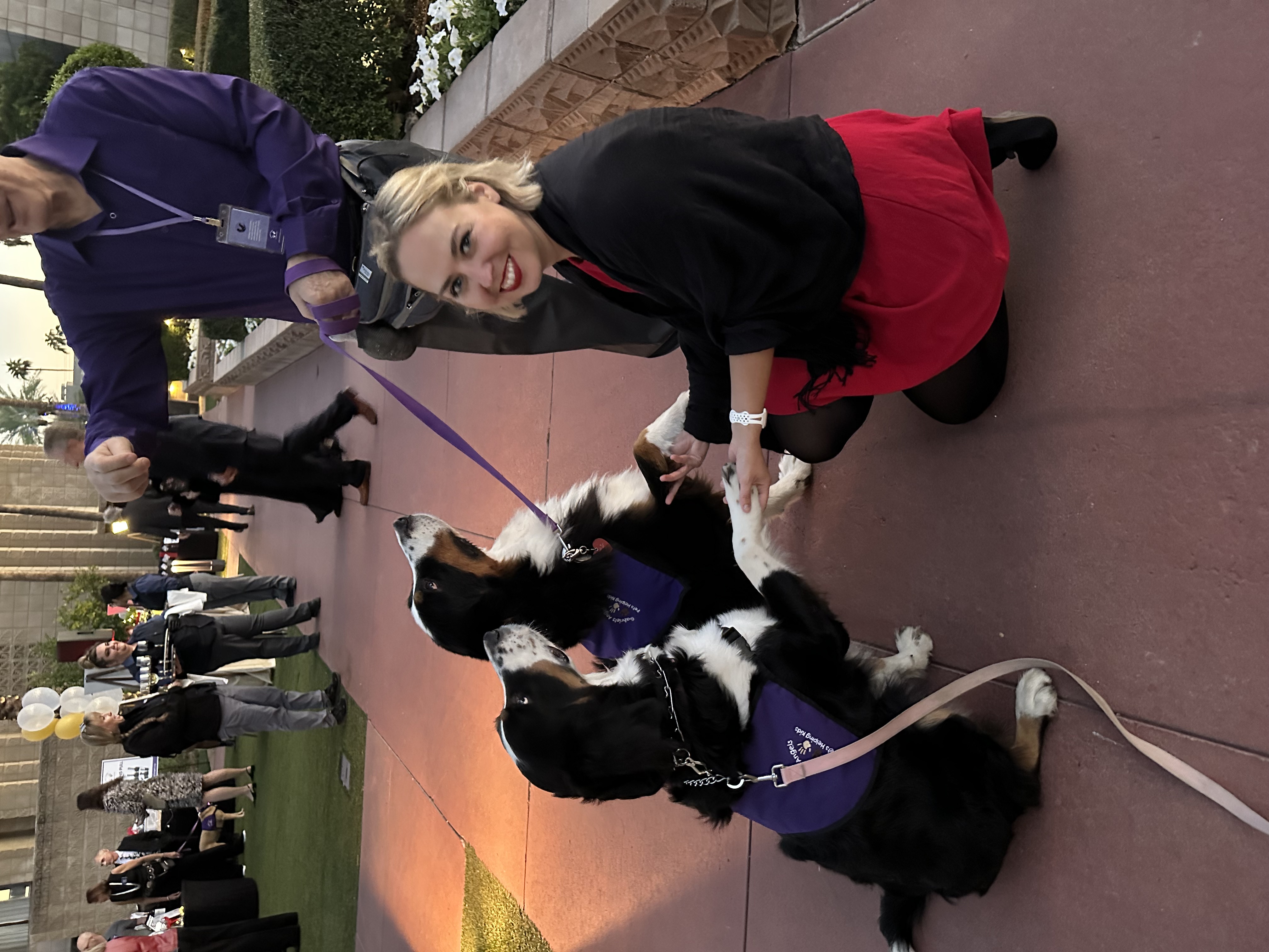 Dogs at a charity event